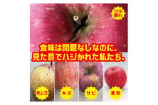 ＜2025年9月末～発送開始＞訳ありりんご　早生ふじ　約5Kg(12～25個入)【1618832】