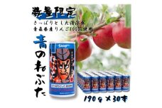 ＜シャイニーアップルジュース＞青のねぶた 190g缶×30本【1618301】