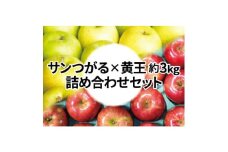 ＜25年9月より順次発送＞糖度13度以上保証! 黄王×サンつがる 約3kg 訳あり  クール便【1613845】