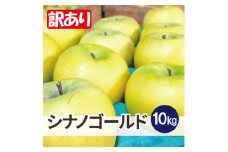 ＜26年5月より順次発送＞平均糖度13度以上! シナノゴールド 約10kg 訳あり  クール便【1610035】