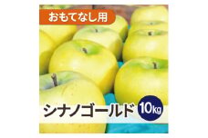 ＜26年2月より順次発送＞平均糖度13度以上! シナノゴールド 約10kg おもてなし用【1610050】