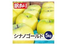 ＜26年2月より順次発送＞平均糖度13度以上! シナノゴールド 約5kg 訳あり【1610138】
