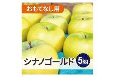 ＜26年1月より順次発送＞平均糖度13度以上! シナノゴールド 約5kg おもてなし用【1610140】