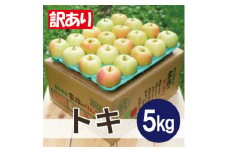 ＜25年10月出荷＞平均糖度12度以上! トキ 約5kg 訳あり【1626498】