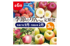 ＜発送月固定定期便＞青森りんご 訳あり 品種おまかせ 3kg 2025年9月～2026年2月全6回【4067587】