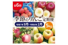＜発送月固定定期便＞青森りんご 訳あり 品種おまかせ 5kg 2025年9月～2026年2月全6回【4067588】