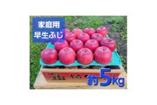 ＜訳あり＞青森県産りんご「早生ふじ 家庭用」約5kg　産地直送!【1517218】