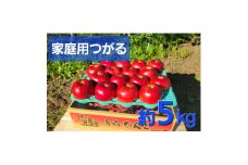 ＜訳あり＞青森県産りんご「サンつがる　家庭用」約5kg　産地直送!【1517220】