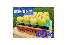 ＜訳あり＞青森県産りんご「トキ　家庭用」約5kg　産地直送!【1517219】