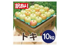 ＜25年10月出荷＞平均糖度12度以上! トキ 約10kg 訳あり【1626500】
