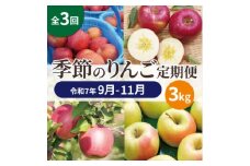 ＜発送月固定定期便＞青森りんご 訳あり 品種おまかせ 3kg 9月～11月全3回【4067590】