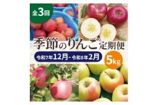＜発送月固定定期便＞青森りんご 訳あり 品種おまかせ 5kg 12月～2月全3回【4067594】