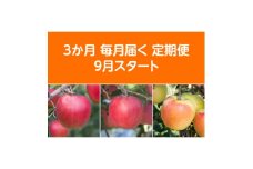 ＜発送月固定定期便＞〈2025年9月より順次発送〉青森県産りんご約3kg全3回【4068077】