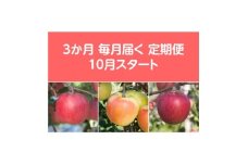 ＜発送月固定定期便＞〈2025年10月より順次発送〉甘味系・青森県産りんご約3kg全3回【4068084】