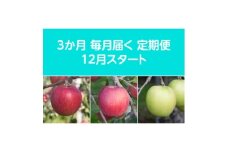 ＜発送月固定定期便＞〈2025年12月より順次発送〉甘味系・青森県産りんご約3kg全3回【4068087】