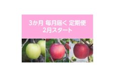 ＜発送月固定定期便＞〈2026年2月より順次発送〉甘味系・青森りんご約3kg全3回【4068097】