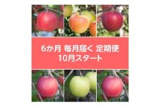 ＜発送月固定定期便＞〈2025年10月より順次発送〉甘味系・青森県産りんご約3kg全6回【4068297】