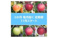 ＜発送月固定定期便＞〈2025年11月より順次発送〉青森県産りんご約3kg全6回【4068301】