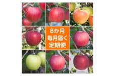 ＜発送月固定定期便＞〈2025年9月より順次発送〉青森県産りんご約3kg全8回【4068305】