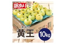 ＜25年9月より順次発送＞平均糖度12度以上! 黄王 約10kg 訳あり  クール便【1611781】