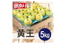 ＜25年9月より順次発送＞平均糖度12度以上! 黄王 約5kg 訳あり  クール便【1611782】