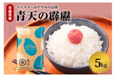 青天の霹靂 米 5kg 青森県産 【特A 8年連続取得 】（精米）　晴天の霹靂　