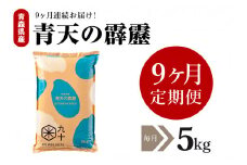 【定期便 9ヶ月】 米 青天の霹靂 5㎏ 青森県産 【特A 8年連続取得 】（精米）