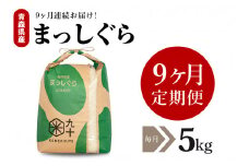【定期便 9ヶ月】 米 5㎏ まっしぐら 青森県産 （精米）