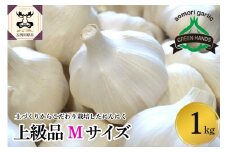 【8月下旬より順次発送】 青森県産にんにく（上級品）Mサイズ1kg