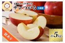 訳あり りんご 5kg  9月 サンつがる  青森【2025年 リンゴ 林檎 果物 クール便】 