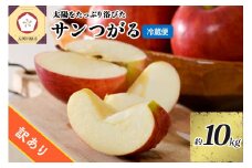 訳あり りんご 10kg 9月 サンつがる 青森 【2025年 リンゴ 林檎 果物 クール便】