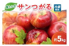9月 りんご 5kg 葉とらず サンつがる 青森 【2025年 リンゴ 林檎 果物 】