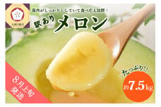 【2025年8月上旬発送】【訳あり】メロン約7.5kg青森産緑肉4～8玉