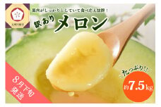 【2025年8月下旬発送】【訳あり】メロン約7.5kg青森産緑肉4～8玉