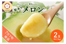 【2025年7月下旬発送】【訳あり】メロン約2.5kg緑肉2玉青森産