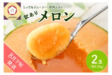 【2025年8月下旬発送】【訳あり】メロン2.5kg程度(赤肉2玉)津軽産