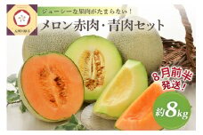 【2025年8月前半発送】津軽のメロン約8kg(赤肉・青肉セット)4～6玉・秀～優青森産