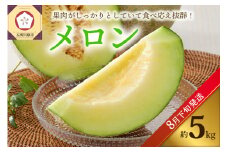 【2025年8月下旬発送】メロン5kg程度(緑肉4～6玉)津軽産