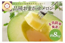 【2025年8月前半発送】青森のメロン約8kg青肉4～6玉秀～優