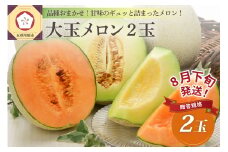 【2025年8月下旬発送】津軽産贈答規格メロン大玉2個【青森メロン】