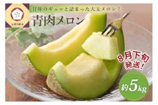 【2025年8月下旬発送】津軽産青肉メロンご家庭用約5kg3～6玉【青森メロン】