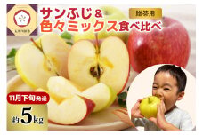 【2025年11月下旬発送】りんご青森産約5kg津軽から完熟サンふじ＆色々ミックス贈答用