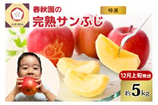 【2025年12月上旬発送】りんご5kg青森産春秋園の最高級「特選」大玉完熟サンふじ