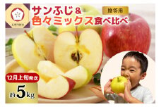 【2025年12月上旬発送】りんご青森産約5kg津軽から完熟サンふじ＆色々ミックス贈答用