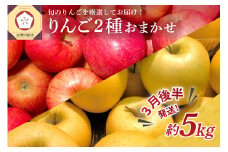 【2026年3月後半発送】 りんご 青森産 約5kg 品種おまかせ2種以上 贈答用 特選～特秀
