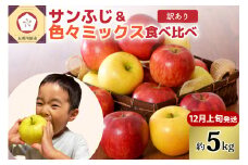 【2025年12月上旬発送】【訳あり】りんご5kg青森産家庭用完熟サンふじ＆色々ミックス