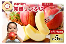 【2025年11月下旬発送】【訳あり】りんご5kg青森産春秋園の家庭用完熟サンふじ