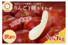 【2026年2月前半発送】 【訳あり】 りんご 青森産 約5kg 品種おまかせ1種
