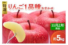 【2025年11月上旬発送】 【特選】 旬の美味しい りんご 約5kg 青森産 【おまかせ1品種】
