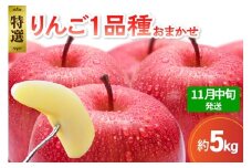 【2025年11月中旬発送】 【特選】 旬の美味しい りんご 約5kg 青森産 【おまかせ1品種】